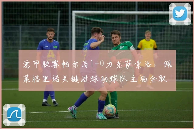 意甲联赛帕尔马1-0力克萨索洛，佩莱格里诺关键进球助球队主场全取三分